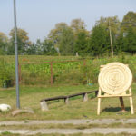 DSC00346